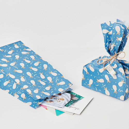 礼品纸盒—BBH蓝色菠萝