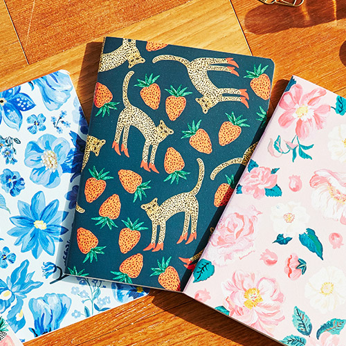 BBH 笔记本ver2 金钱豹